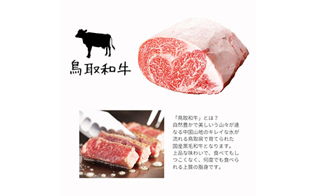 鳥取県産　焼肉セット 2.4ｋｇ (６?１０人前） ホルモン 丸腸 牛肉 豚肉 鶏肉 バーベキュー 鳥取産 BBQ ファミリーセット_T2600254
