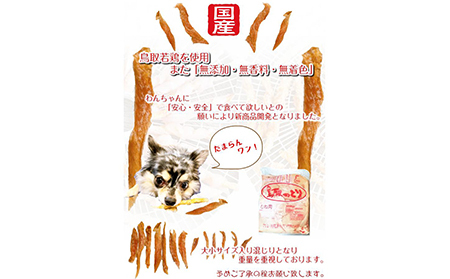 国産 鳥取産 ペットおやつ 犬用 ささみ巻き巻き ガム 10袋 無添加 無香料 無着色 美味しい鳥取産鶏肉使用_T2600255
