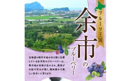 フルーツ王国余市産 冷凍ブルーベリー 1㎏ 【ニトリ観光果樹園】_Y074-0149