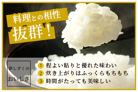 鹿島市産 夢しずく 白米 5kg 米 お米 精米 国産 美味しい 自然の恵 田舎 自然 九州産 佐賀県 鹿島市 送料無料 C-124