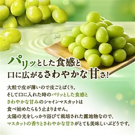 やまなし内藤農園の【訳あり】シャインマスカット 1.5kg【配送不可地域：離島】【1513177】