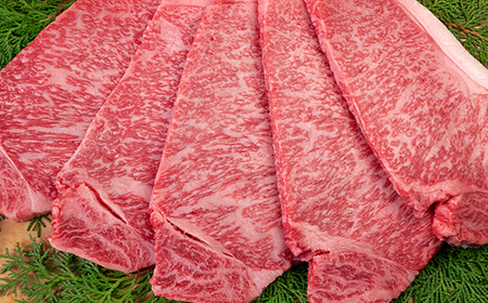 山形牛 ロース ステーキ 5枚 計1kg A4-A5ランク 冷凍 高橋畜産 tc-gnrxt1000