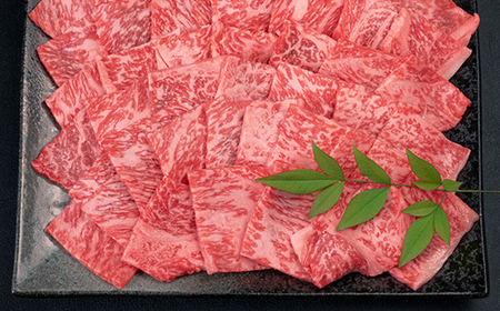 山形牛 ロース 焼肉 1kg A4-A5ランク 冷凍 高橋畜産 tc-gnrxg1000