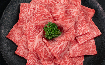 山形牛 ロース 焼肉 300g A4-A5ランク 冷凍 高橋畜産 tc-gnrxg300