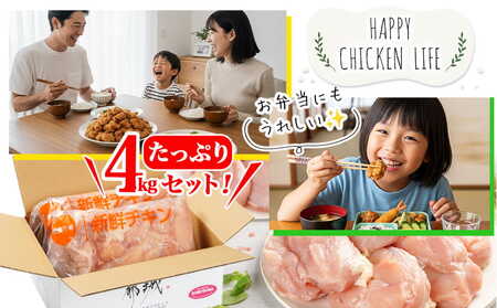 訳アリ!【業務用】国産若鶏ムネ肉4kg≪みやこんじょ特急便≫_12-1407-Q_(都城市) 若鶏 国産 鶏 ムネ肉 業務用 4kg