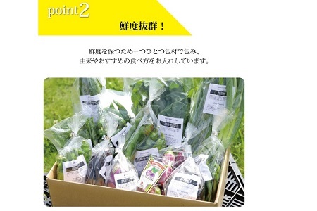 【野菜 12回 定期便】旬の京野菜セット 毎月お届けスペシャルコース（全12回）＆『葉酸たまご』10個入り×1パック×3回分付き【 野菜 野菜定期便 野菜詰め合わせ 野菜セット 京野菜 】 [180KH001R]