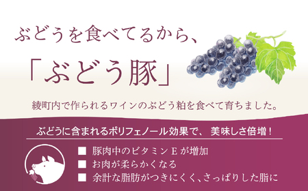宮崎スープカレー　綾ぶどう豚トロトロなんこつ（3個）【スパイスチャンキー】_A0114-203