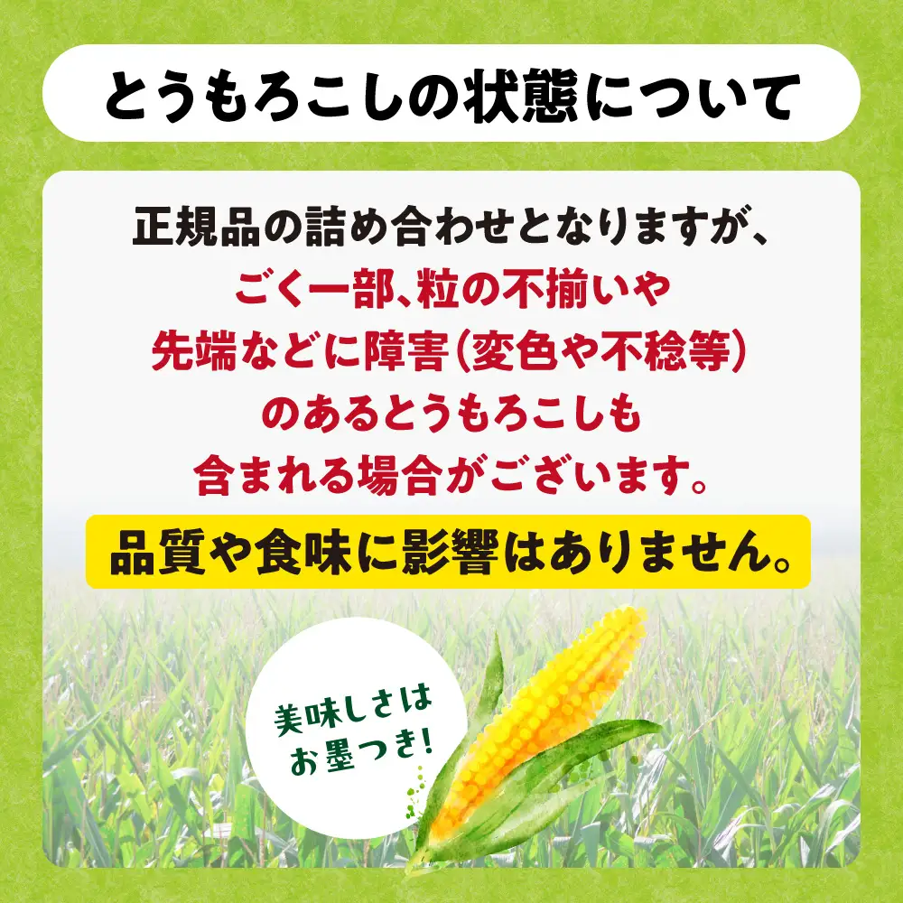 とうもろこし 10本セット 北海道産 トウモロコシ