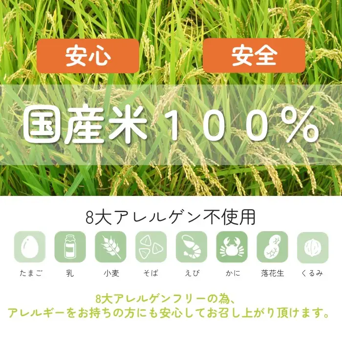 お米で作った簡単パンミックス（300g×10セット） No.496