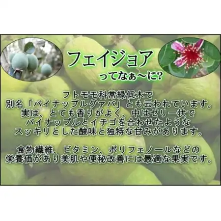 【大井町産フェイジョア使用】ふぇいじょああいす　6個入り_菓子・スイーツ アイス・ジェラート  _【配送不可地域：離島】【1499858】