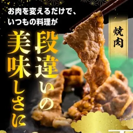 足柄牛【焼肉・しゃぶしゃぶ用】切り落とし500g_足柄牛 焼肉 しゃぶしゃぶ 切り落とし_【配送不可地域：離島】【1507076】