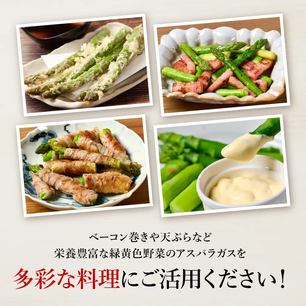 熊本県 八代市産 アスパラガス 1kg 新鮮 アスパラ 野菜 やさい 旬