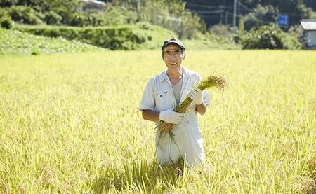 ブランド米「たかたのゆめ」と煎餅のギフトセット 【 米 お米 白米 お煎餅 せんべい お菓子 菓子 和菓子 おやつ 人気 おすすめ ギフト プレゼント 贈答品 常温 岩手 陸前高田 】RT475