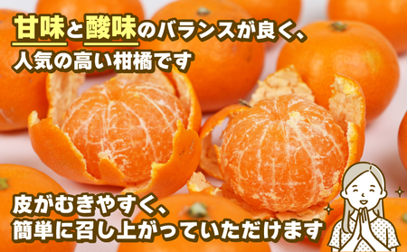 みかん 訳あり 小玉 温州みかん 早生 10kg 玉津柑橘倶楽部 訳あり B010-072030