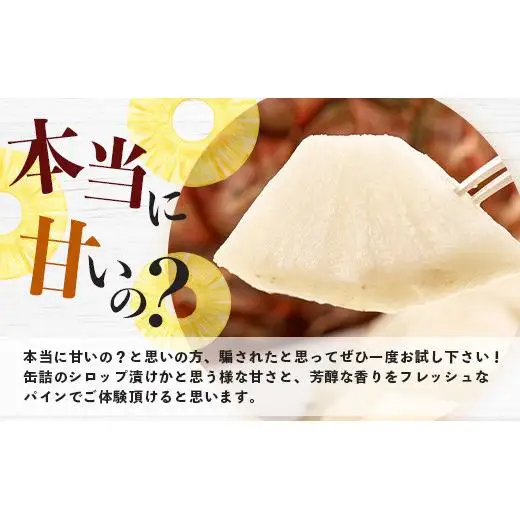 [先行予約] 最高糖度20度！？ 完熟の極 石垣島産幻のパイナップル ホワイトココ2個セット