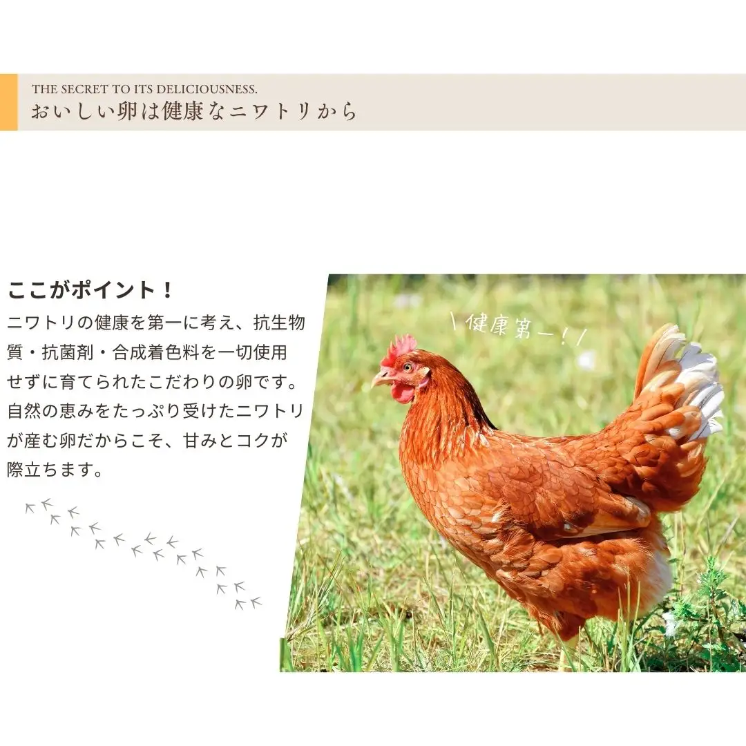 甘くてコクがある こだわり卵 30個|卵