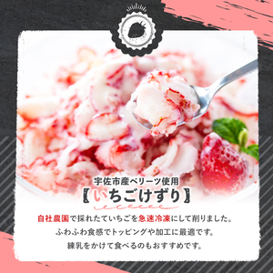 いちごけずり(計550g・110g×5個) 苺 イチゴ ベリーツ けずり 勝負めし 【107600401】【ステーキハウス　ルートテン】