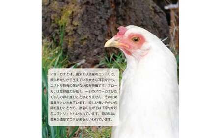 【徳島県産 卵】10個 卵 鶏 アローカナ 鶏卵 最強のTKG 高級 しあわせの青い卵 平飼い 採れたて 希少 国産 