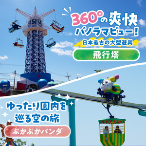 【ふるさとチケット】生駒山上遊園地　とくとくチケット （のりもの券12枚綴2セット） 遊園地 チケット 生駒山 山頂周辺 見晴らし 絶景 国内最古 夜間営業 大阪平野 奈良盆地 観光 旅行 子供 奈良県 生駒市 送料無料