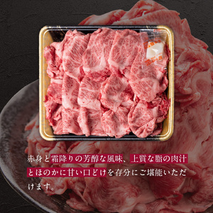 博多和牛 切り落とし 500g_KJ0606