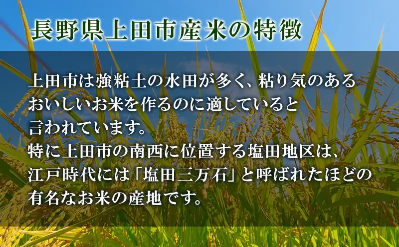 米 コシヒカリ 10kg お米 白米 精米 単一原料米 令和7年産 長野県産 長野 長野県 上田市