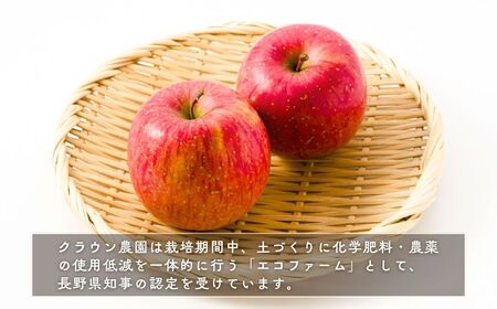 【2026年先行予約】りんご 園主におまかせ 詰合せ 計約5kg（10~18玉）りんごの宝石箱 | 長野県 千曲市
