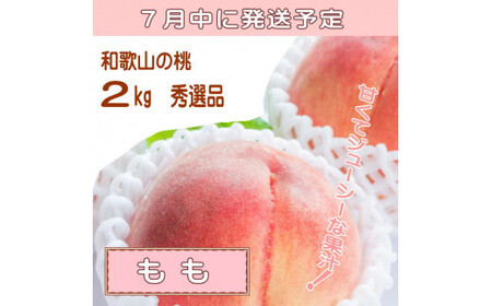 【定期便】夏をお届け！フルーツ定期便！小玉すいか・桃・ピオーネ（全3回）/ フルーツ 果物 すいか ひとりじめ7 もも モモ ぶどう ブドウ  旬 定期便 【tkb345】