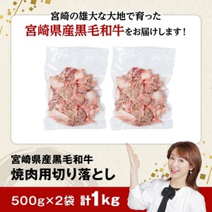【数量限定】 宮崎県産 黒毛和牛 焼肉用 切り落とし 1kg 牛肉 宮崎県産