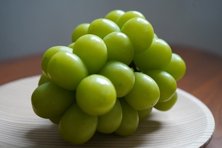 シャインマスカット 約2kg　9月中旬～出荷予定＜2026年収穫分・数量限定＞