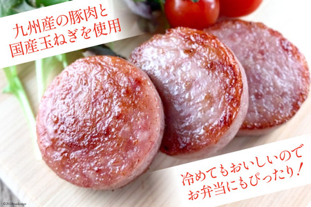 AI064 特大！ 島原ハム ポークソーセージ 800g×2本 セット [長崎県 島原市]