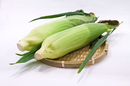 【2026年夏の予約受付開始！】小林農園の白くて甘いとうもろこし『味甘ちゃんホワイト（みかんちゃんほわいと）』8～9本入り（4kg強セット）／スイートコーン注目品種を予約受付中！ 【長野県信濃町ふるさと納税】