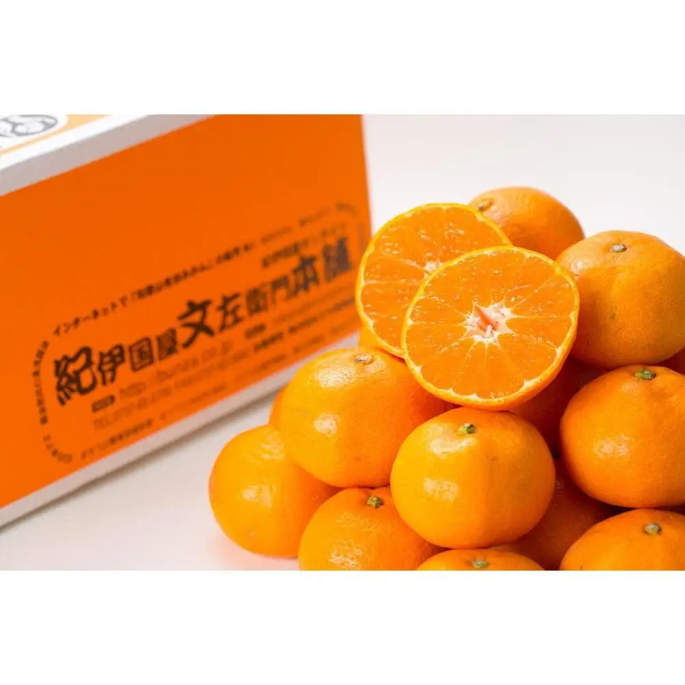 ブランド有田みかん［Ｍサイズ］秀品 5kg／産地直送／薄皮で甘い美味しい和歌山県産／紀伊国屋文左衛門本舗