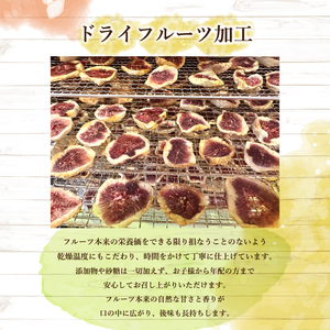 ドライフルーツ 120g ドライフルーツドライフルーツドライフルーツドライフルーツドライフルーツドライフルーツドライフルーツドライフルーツドライフルーツドライフルーツドライフルーツドライフルーツドライフルーツドライフルーツドライフルーツドライフルーツドライフルーツドライフルーツドライフルーツドライフルーツドライフルーツドライフルーツドライフルーツドライフルーツドライフルーツドライフルーツドライフルーツドライフルーツドライフルーツドライフルーツドライフルーツドライフルーツドライフルーツドライフルーツドライフルーツドライフルーツドライフルーツドライフルーツドライフルーツドライフルーツドライフルーツドライフルーツドライフルーツドライフルーツドライフルーツドライフルーツドライフルーツドライフルーツドライフルーツドライフルーツドライフルーツドライフルーツドライフルーツドライフルーツドライフルーツドライフルーツドライフルーツドライフルーツドライフルーツドライフルーツドライフルーツドライフルーツドライフルーツドライフルーツドライフルーツドライフルーツドライフルーツドライフルーツドライフルーツドライフルーツドライフルーツドライフルーツドライフルーツドライフルーツドライフルーツドライフルーツドライフルーツドライフルーツドライフルーツドライフルーツドライフルーツドライフルーツドライフルーツドライフルーツドライフルーツドライフルーツドライフルーツドライフルーツドライフルーツドライフルーツドライフルーツドライフルーツドライフルーツドライフルーツドライフルーツドライフルーツドライフルーツドライフルーツドライフルーツドライフルーツドライフルーツドライフルーツドライフルーツドライフルーツドライフルーツドライフルーツドライフルーツドライフルーツドライフルーツドライフルーツドライフルーツドライフルーツドライフルーツドライフルーツドライフルーツドライフルーツドライフルーツドライフルーツドライフルーツドライフルーツドライフルーツドライフルーツドライフルーツドライフルーツドライフルーツドライフルーツドライフルーツドライフルーツドライフルーツドライフルーツドライフルーツドライフルーツドライフルーツドライフルーツドライフルーツドライフルーツドライフルーツドライフルーツドライフルーツ下関 山口 KG001