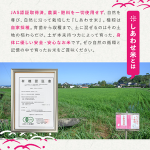 しあわせ米のぽんせんべい(6個)せんべい 玄米 なずなの塩 お菓子 おやつ【101000902】【宇佐本百姓】