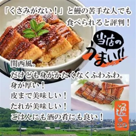 【冷凍3尾】岬町自慢の味　うなぎの川島家　国産うなぎ蒲焼　特大サイズ(226g以上)特製タレ付き_魚介・海産物 うなぎ  ウナギ 鰻_【配送不可地域：離島】【1488346】