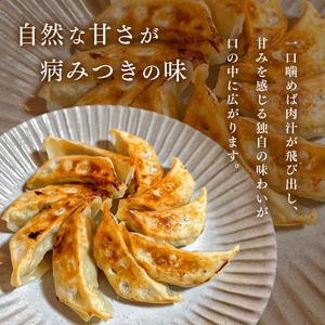 冷凍餃子 5人前 25個 | 餃子 冷凍 餃子 惣菜 冷凍 食品 大ちゃんラーメン 君津 きみつ 千葉県 