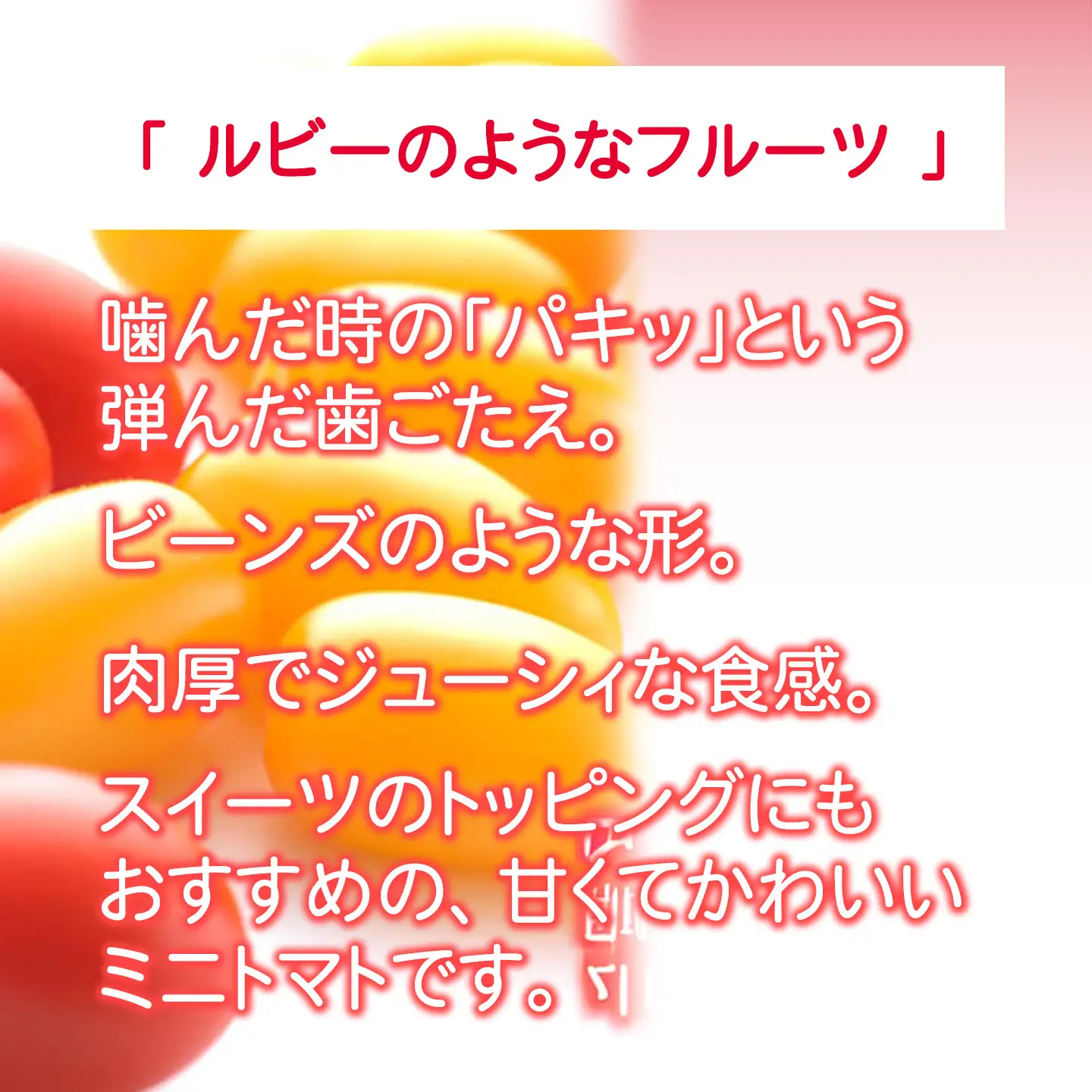 ミニトマト アメーラルビンズ＆ルビンズゴールド 約60g×5P ミニトマト