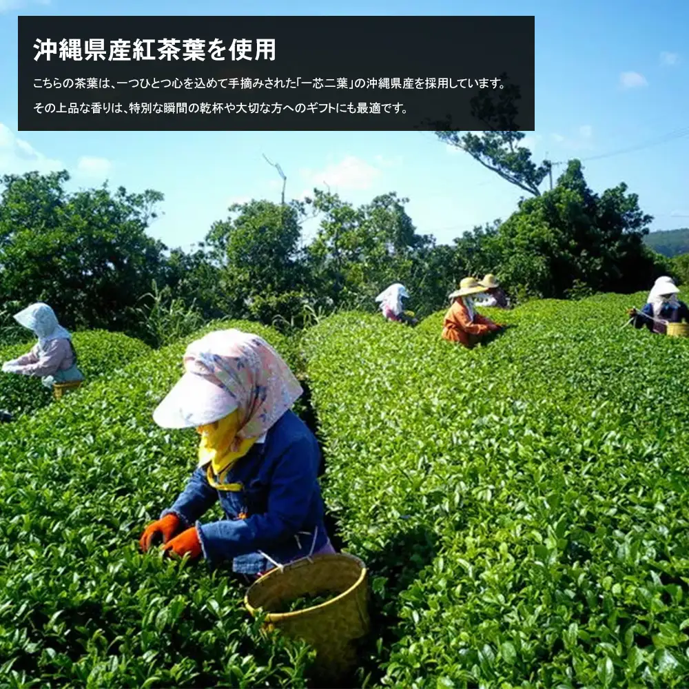 【琉球泡盛】瑞泉酒造　宵の紅茶　500ml　12%　アールグレイ香る泡盛紅茶リキュール
