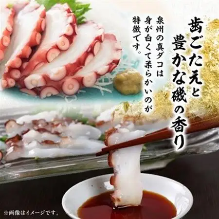 【活け締め】紀淡海峡の恵み・泉州みさき旬の魚/真ダコ1尾　　_魚介・海産物 タコ  たこ 蛸_【配送不可地域：離島・北海道・沖縄県】【1496518】