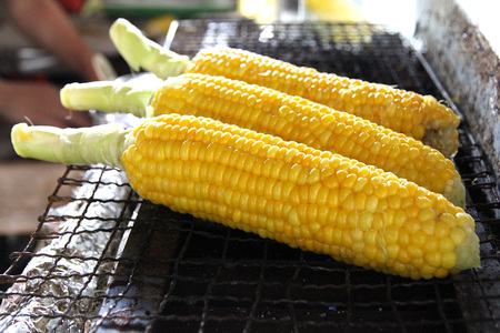 【2026年夏の予約受付開始！】信濃町名産とうもろこし『TAKA農園の恵味（めぐみ）ゴールド』2Lサイズ（1本450ｇ相当）×10本セット、約4.5kg／スイートコーンの人気品種、予約受付中！  令和8年7月下旬から8月下旬まで随時出荷予定【長野県信濃町ふるさと納税】