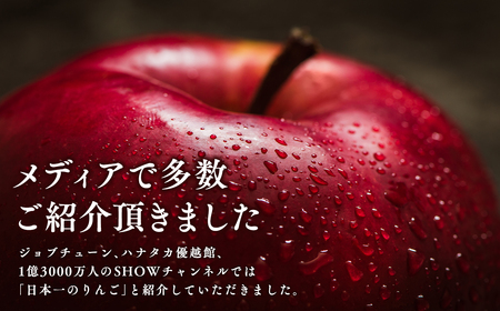 【レビューキャンペーン】1月発送 サンふじ 約3kg 青森県平川市産[hi-0003-025]