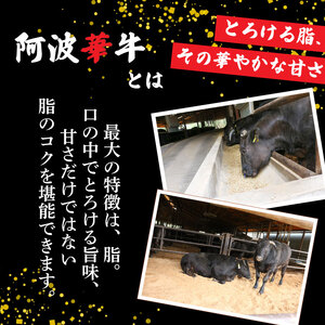 【 黒毛和牛 】 牛肉 切り落とし 1kg A5 牛肉 阿波華牛