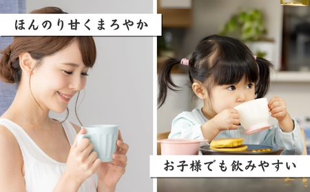 和紅茶ティーバッグ2g×20ヶ入×6袋 飲料類 お茶 セット 