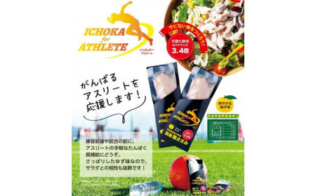 鶏ささみ サラダチキン 10本 プロテイン プロテイン プロテイン プロテイン プロテイン プロテイン プロテイン