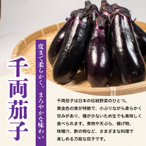 千両茄子 約1kg 美～ナス 3本 詰合せ 翡翠茄子 千両なす 茄子 ナス なす