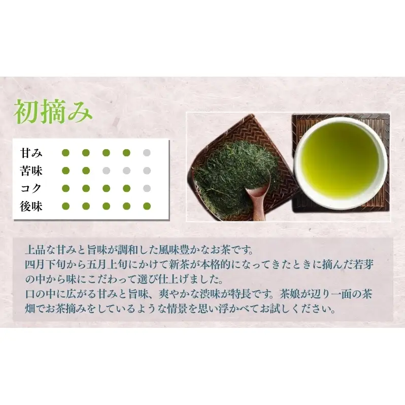 お茶 いしだ茶屋 深蒸し茶 詰め合わせ セット 贈答用