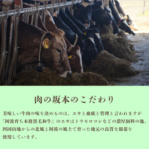 阿波牛 サーロインステーキ 約400g  ステーキ ステーキ ステーキ ステーキ ステーキ
