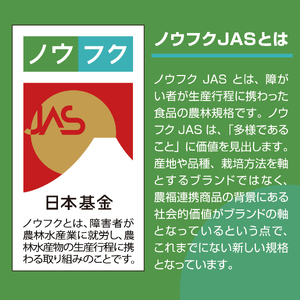 トマト 中玉 2kg シンディースイート はーとふるトマト トマト とまと トマト とまと