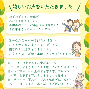 とうもろこし 5kg  おおもの とうもろこし