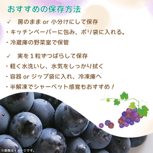 ぶどう ピオーネ 2kg 3～5房 ぶどう ピオーネ